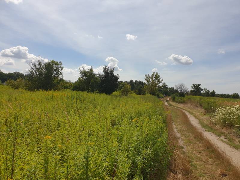 Vendita Terreni agricoli e forestali, Terreni agricoli e forestali, Hv