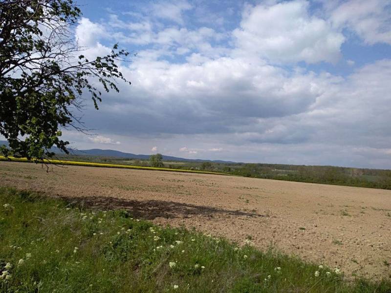 Acquisto Terreni residenziali, Terreni residenziali, Pezinok, Slovakia