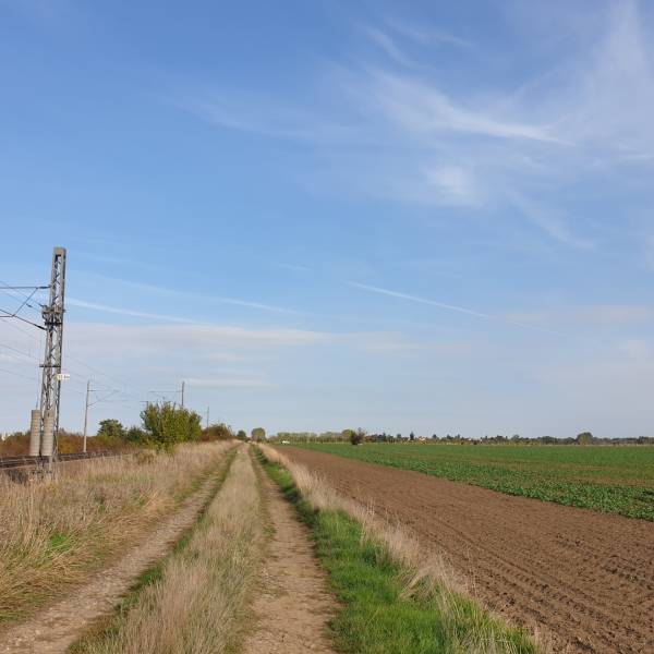 Vendita Terreni agricoli e forestali, Terreni agricoli e forestali, Pe