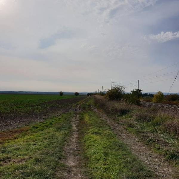 Vendita Terreni agricoli e forestali, Terreni agricoli e forestali, Pe