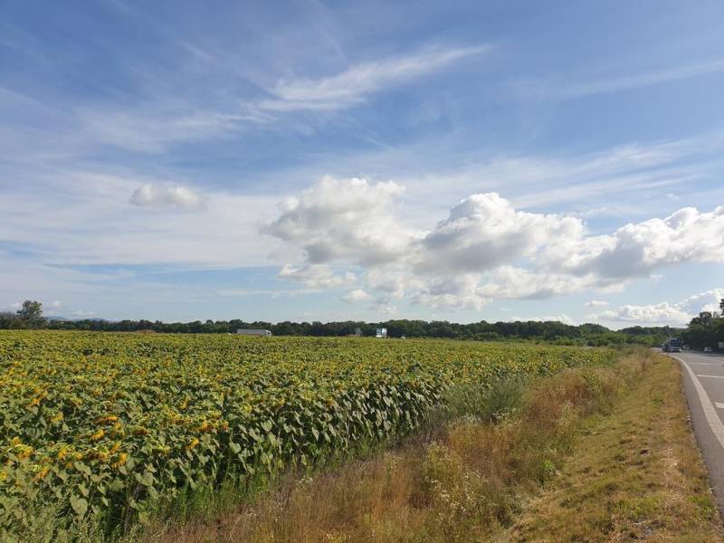 Vendita Terreni agricoli e forestali, Terreni agricoli e forestali, Se