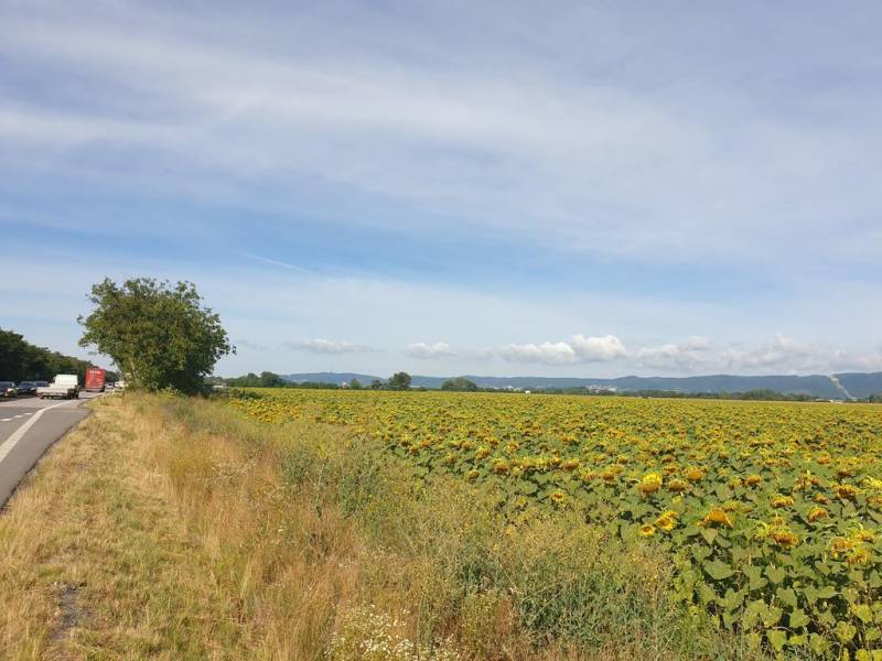 Vendita Terreni agricoli e forestali, Terreni agricoli e forestali, Se