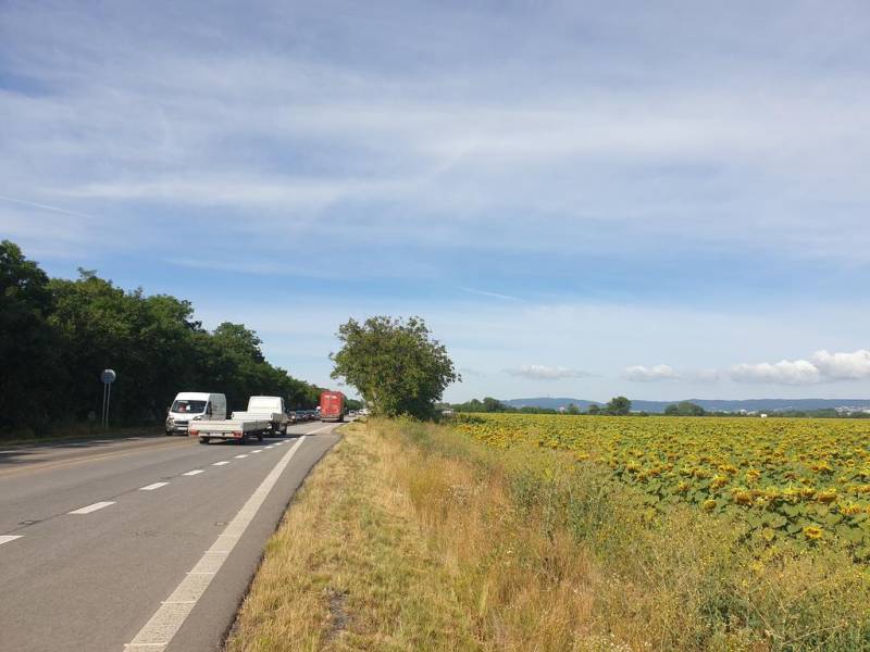 Vendita Terreni agricoli e forestali, Terreni agricoli e forestali, Se