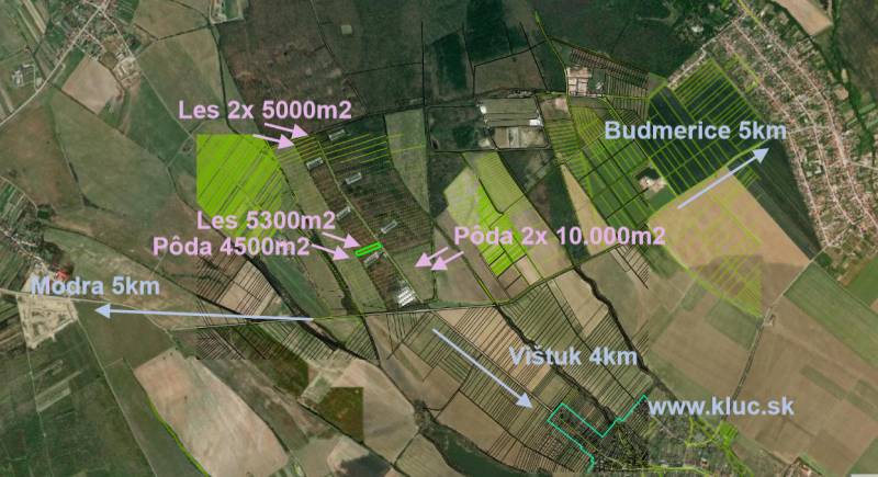 Vendita Terreni agricoli e forestali, Terreni agricoli e forestali, Bu