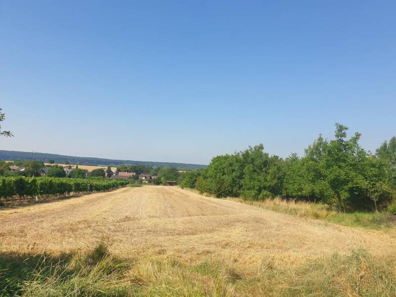 Vendita Terreni residenziali, Terreni residenziali, Pezinok, Slovakia