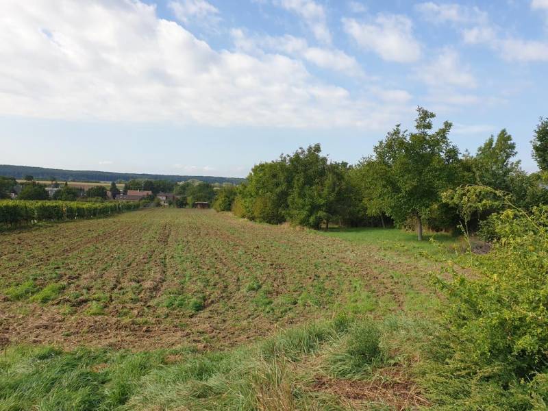 Vendita Terreni residenziali, Terreni residenziali, Pezinok, Slovakia