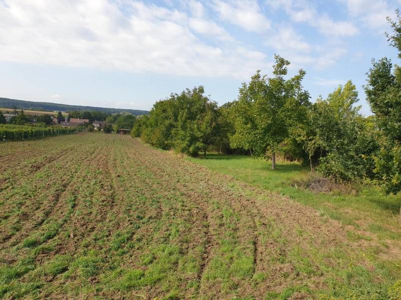 Vendita Terreni residenziali, Terreni residenziali, Pezinok, Slovakia