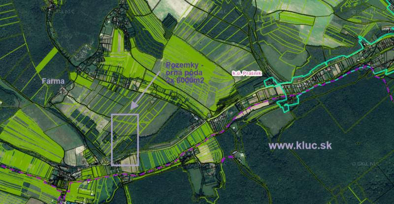 Vendita Terreni agricoli e forestali, Terreni agricoli e forestali, Pi