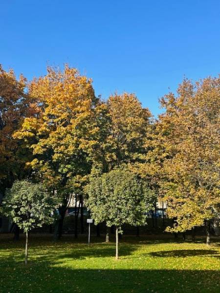 Appartamento ristrutturato di 2 locali con balcone Račianske mýto