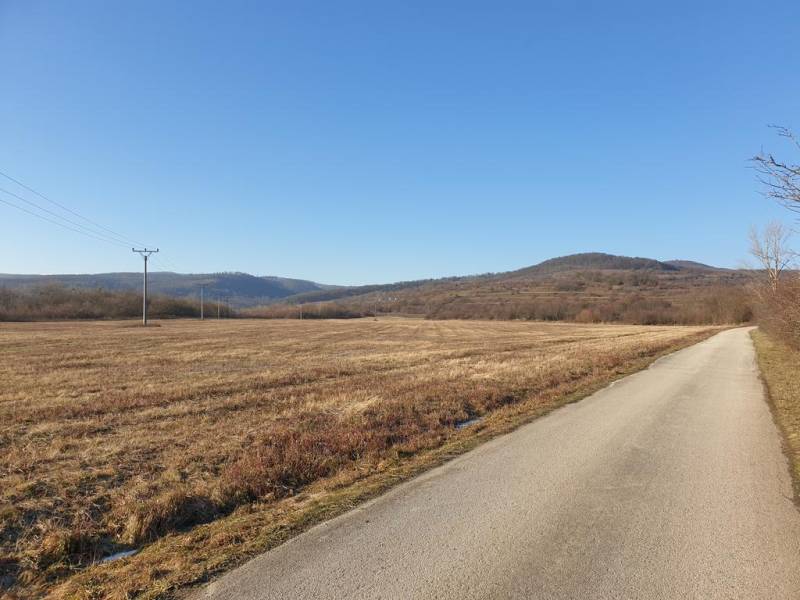 Vendita Terreni agricoli e forestali, Terreni agricoli e forestali, Ma