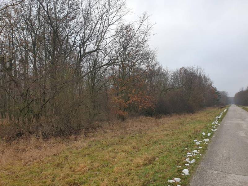 Vendita Terreni agricoli e forestali, Terreni agricoli e forestali, Pe