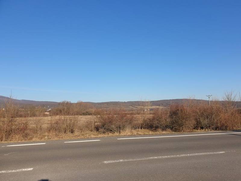 Vendita Terreni agricoli e forestali, Terreni agricoli e forestali, Ma