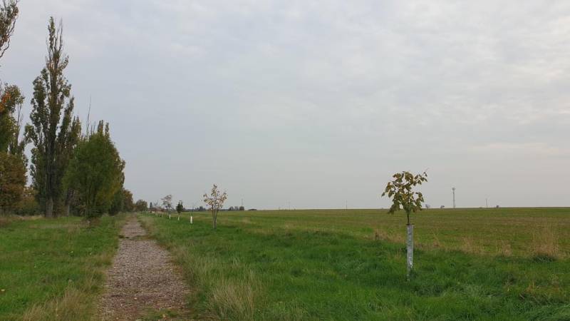 Vendita Terreni agricoli e forestali, Terreni agricoli e forestali, Po