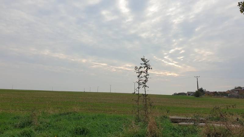 Vendita Terreni agricoli e forestali, Terreni agricoli e forestali, Po