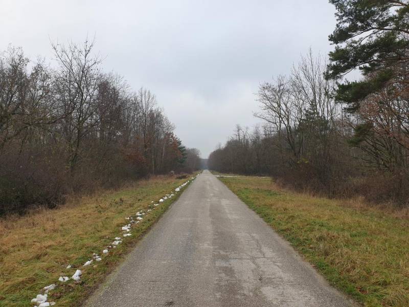 Vendita Terreni agricoli e forestali, Terreni agricoli e forestali, Pe