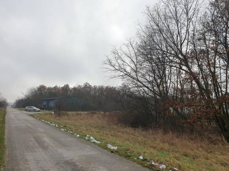 Vendita Terreni agricoli e forestali, Terreni agricoli e forestali, Pe