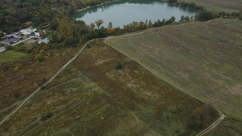 Vendita Terreni agricoli e forestali, Terreni agricoli e forestali, Hv