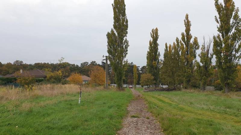 Vendita Terreni agricoli e forestali, Terreni agricoli e forestali, Po