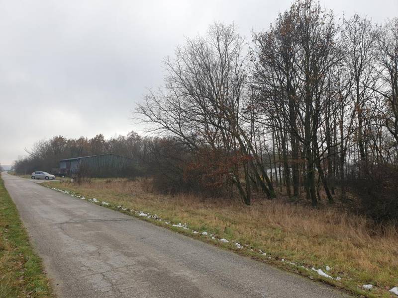 Vendita Terreni agricoli e forestali, Terreni agricoli e forestali, Pe