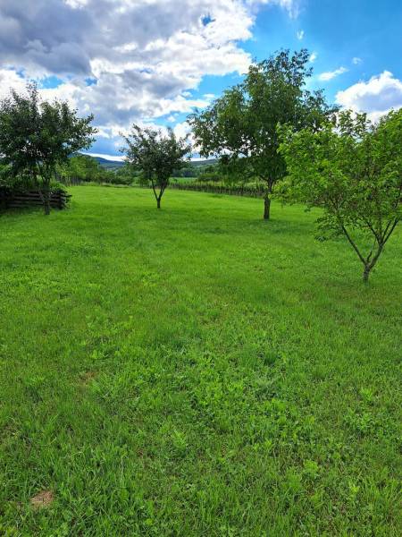Vendita Giardini, Giardini, Doľany, Pezinok, Slovakia
