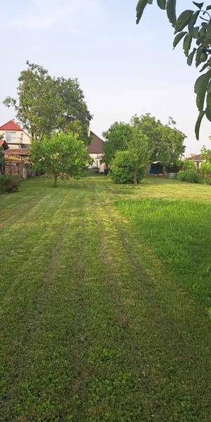 Vendita Giardini, Giardini, Doľany, Pezinok, Slovakia