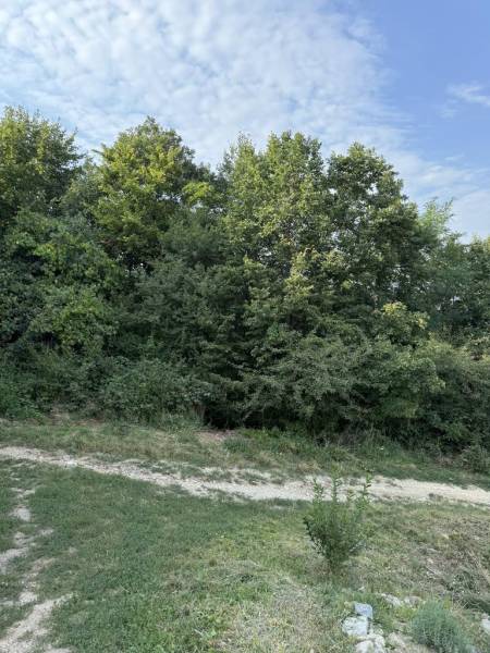 Vendita Terreni residenziali, Terreni residenziali, Frankovská, Bratis