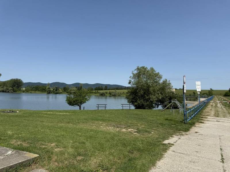 Vendita Terreni agricoli e forestali, Terreni agricoli e forestali, Tr