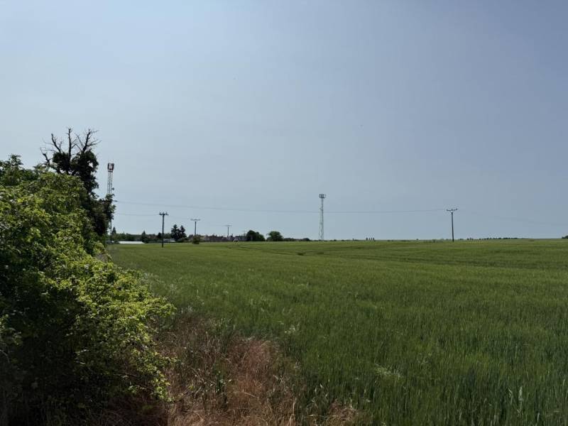 Vendita Terreni agricoli e forestali, Terreni agricoli e forestali, Tr