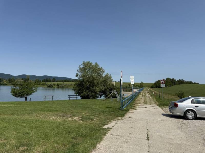 Vendita Terreni agricoli e forestali, Terreni agricoli e forestali, Tr