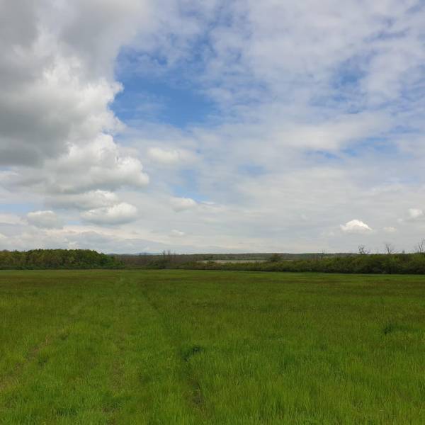 Vendita Terreni agricoli e forestali, Terreni agricoli e forestali, Pe