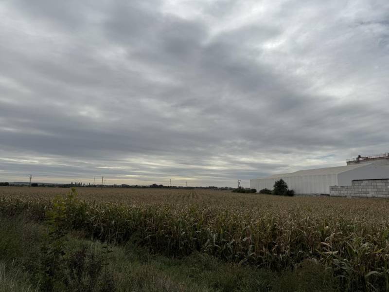 Vendita Terreni agricoli e forestali, Terreni agricoli e forestali, Pe