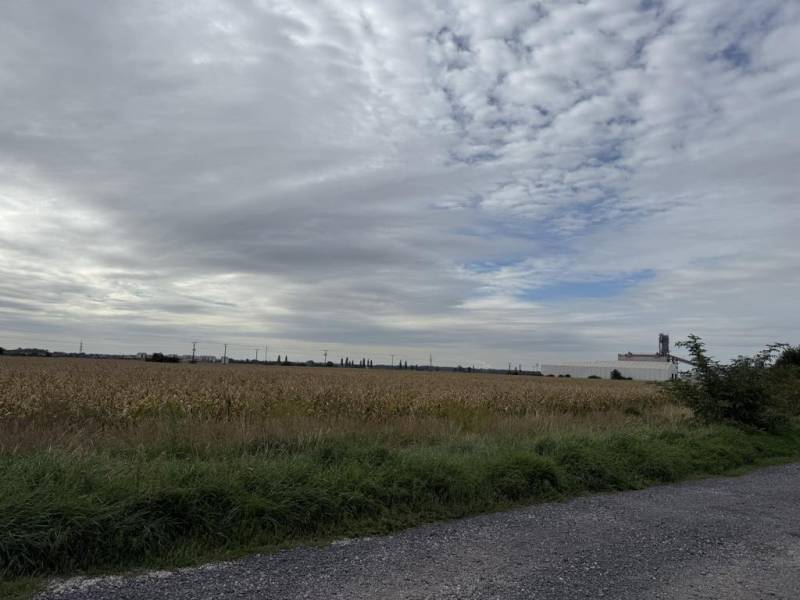 Vendita Terreni agricoli e forestali, Terreni agricoli e forestali, Pe