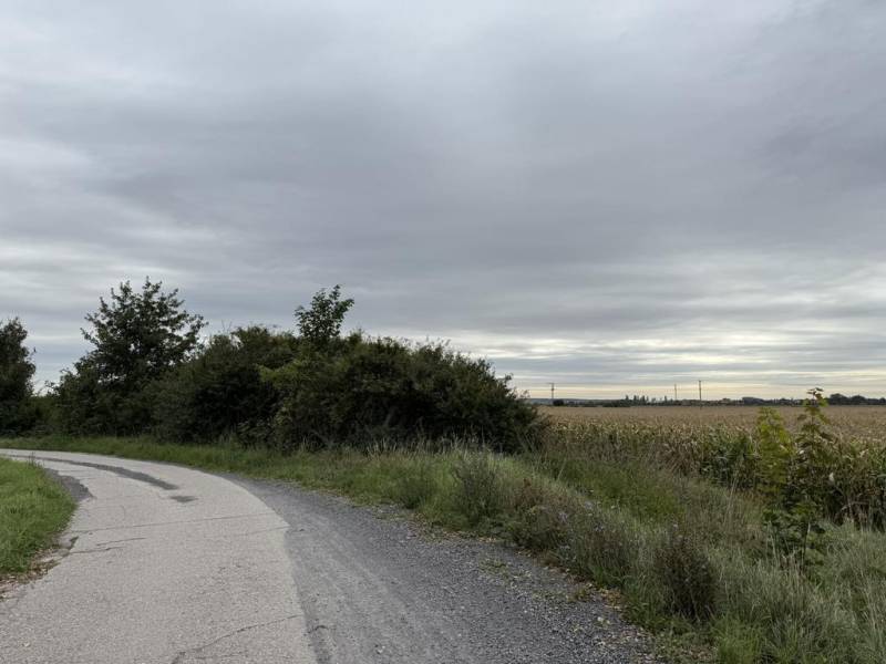 Vendita Terreni agricoli e forestali, Terreni agricoli e forestali, Pe