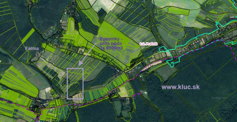 Vendita Terreni agricoli e forestali, Terreni agricoli e forestali, Pi