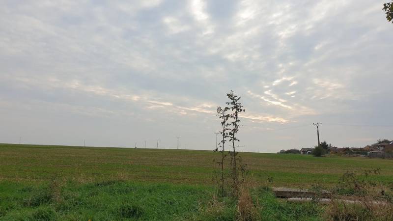 Vendita Terreni agricoli e forestali, Terreni agricoli e forestali, Po