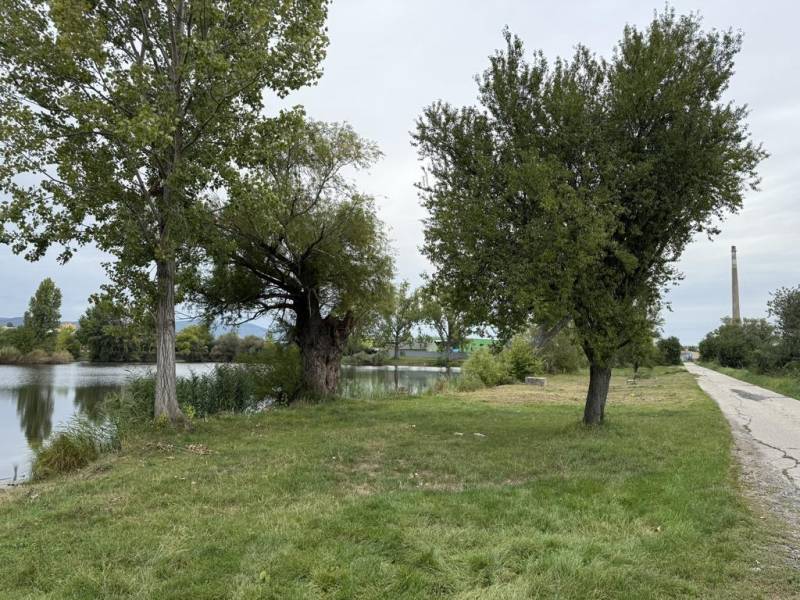 Vendita Terreni agricoli e forestali, Terreni agricoli e forestali, Pe