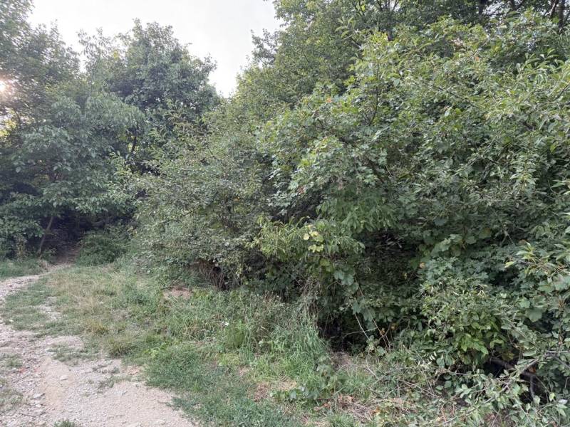 Vendita Terreni residenziali, Terreni residenziali, Frankovská, Bratis