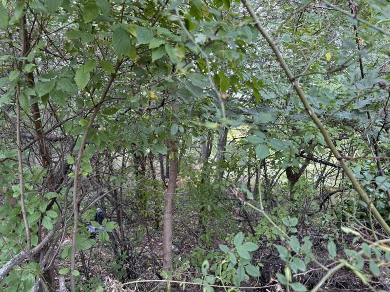 Vendita Terreni residenziali, Terreni residenziali, Frankovská, Bratis