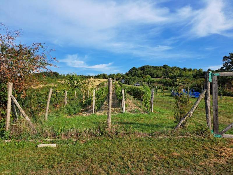 Vendita Terreni ricreativi, Terreni ricreativi, Fajgalská cesta, Pezin