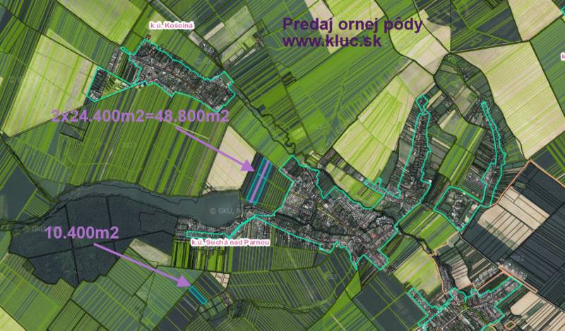 Vendita Terreni agricoli e forestali, Terreni agricoli e forestali, Tr