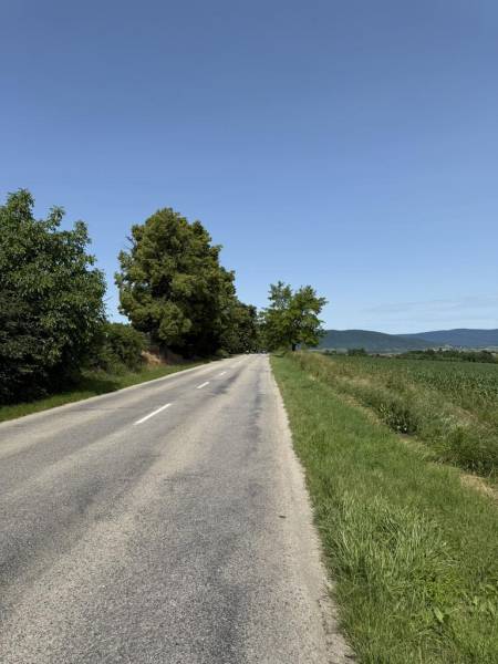 Vendita Terreni agricoli e forestali, Terreni agricoli e forestali, Tr
