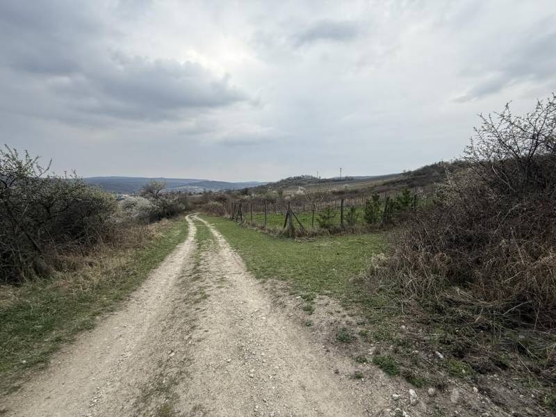 Vendita Terreni ricreativi, Terreni ricreativi, Fajgalská cesta, Pezin