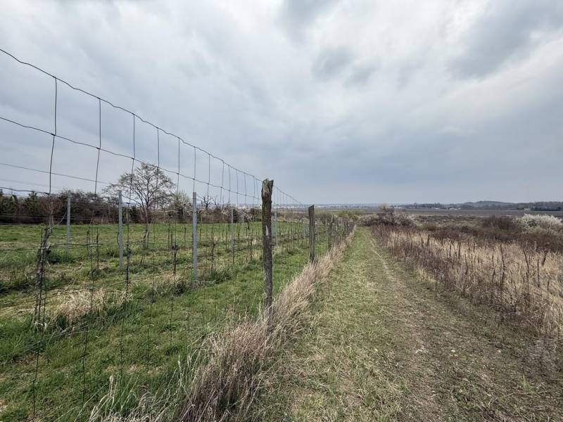 Vendita Terreni ricreativi, Terreni ricreativi, Fajgalská cesta, Pezin