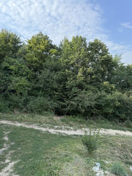 Vendita Terreni residenziali, Terreni residenziali, Frankovská, Bratis