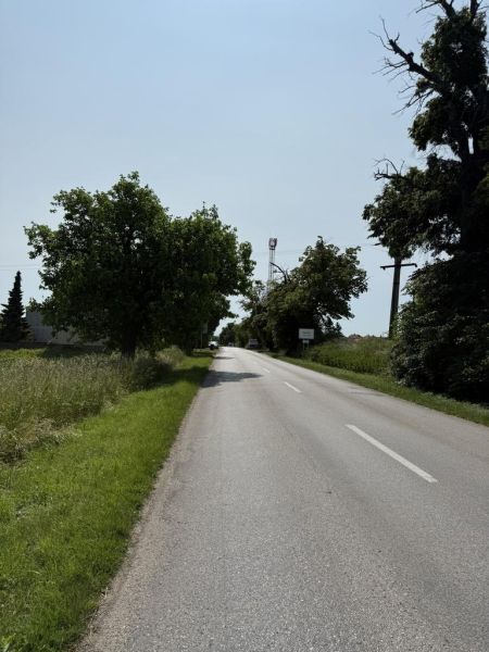 Vendita Terreni agricoli e forestali, Terreni agricoli e forestali, Tr