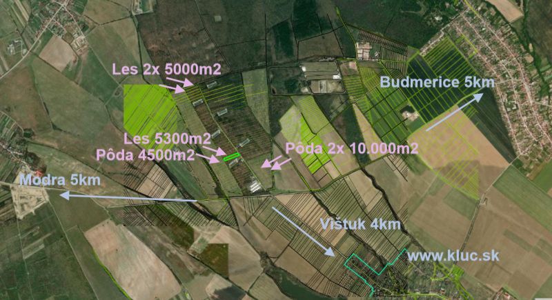 Vendita Terreni agricoli e forestali, Terreni agricoli e forestali, Pe