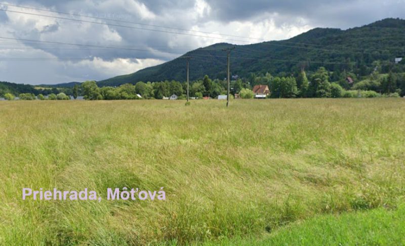 Vendita Terreni agricoli e forestali, Terreni agricoli e forestali, Mô