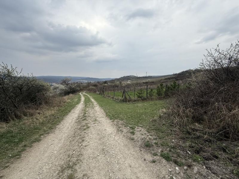 Vendita Terreni ricreativi, Terreni ricreativi, Fajgalská cesta, Pezin