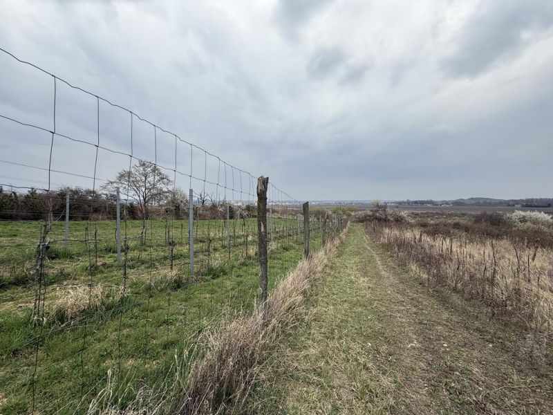 Vendita Terreni ricreativi, Terreni ricreativi, Fajgalská cesta, Pezin