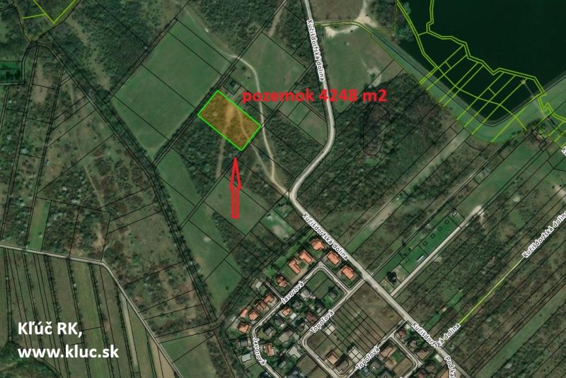 Vendita Terreni agricoli e forestali, Terreni agricoli e forestali, Pe